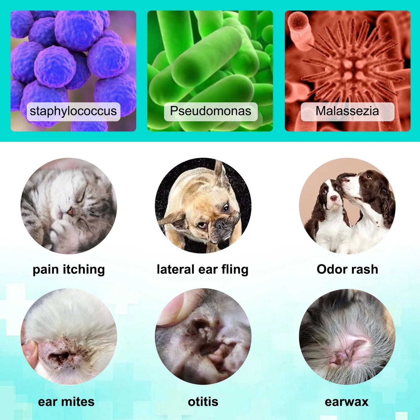 Aloe Ear Mite Treatment for Pets Medicine