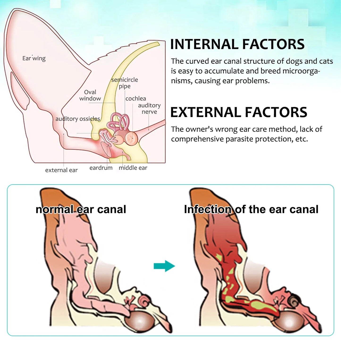 Aloe Ear Mite Treatment for Pets Medicine