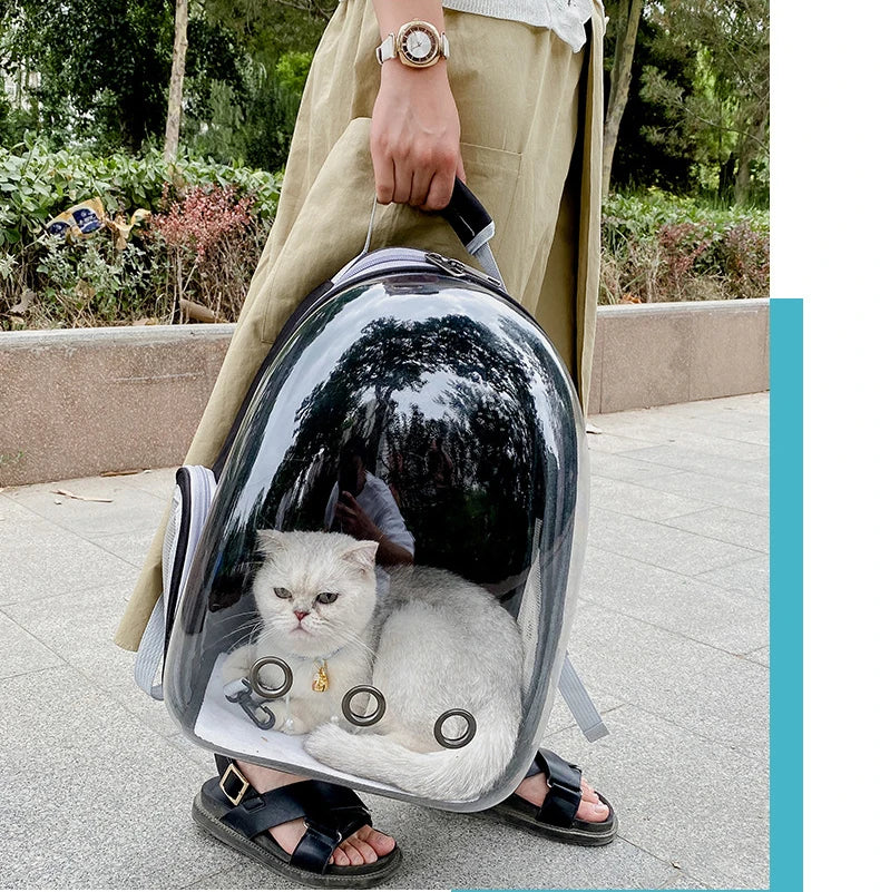 Pet Cat Carrying Bag Space Pet Backpacks Breathable Portable Transparent