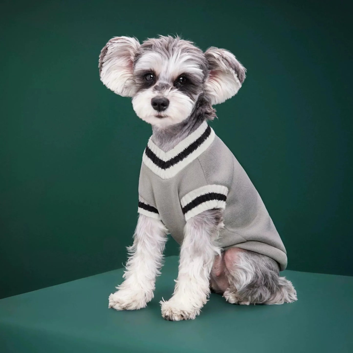 Autumn Winter Pet Cat Dog Sweater Warm Coat