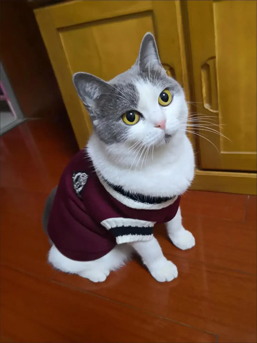 Autumn Winter Pet Cat Dog Sweater Warm Coat