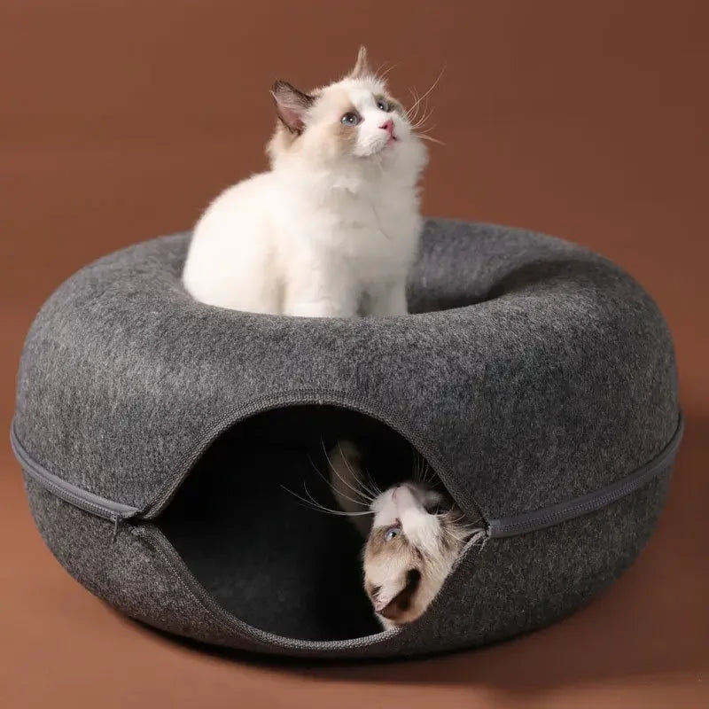 Training Toy Cat House