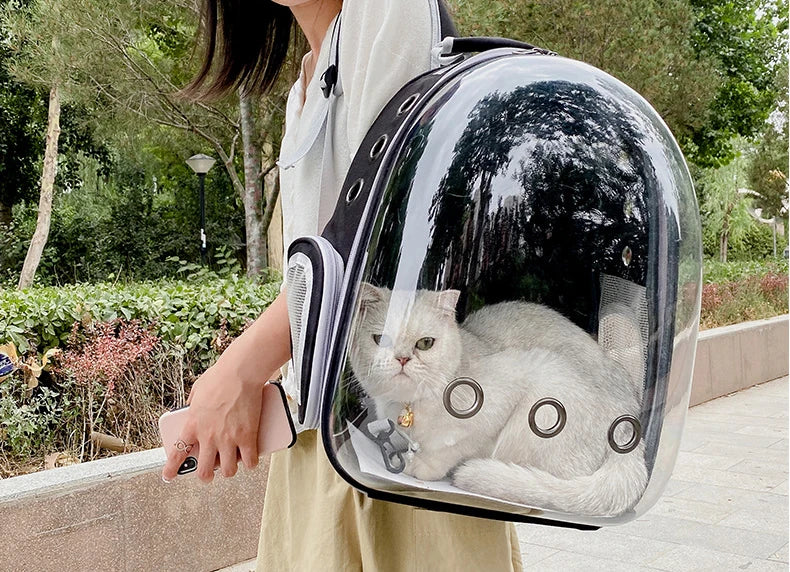 Pet Cat Carrying Bag Space Pet Backpacks Breathable Portable Transparent