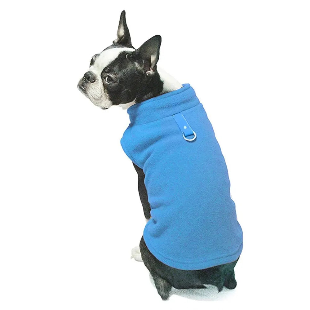 Jacket dog